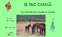 El ruc català