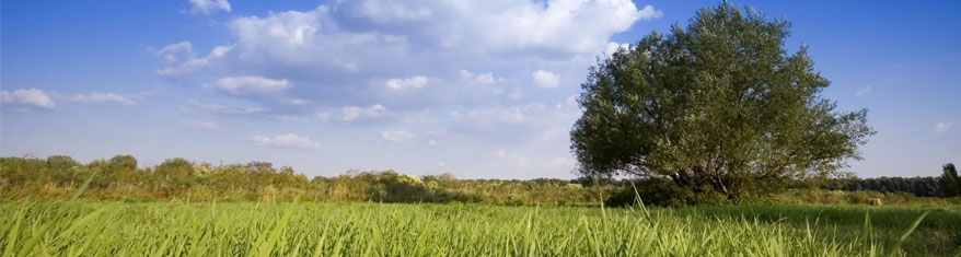 encap&ccedil;alament