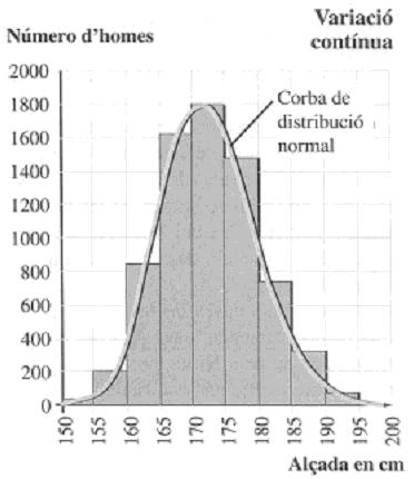 Cont&iacute;nua