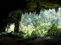 Cuevas de Niah