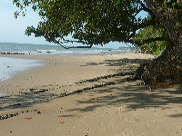 Playa en Borneo, llena de turistas....