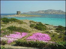 Isola Asinara