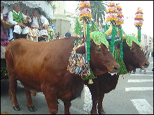 Fiesta en Cagliari