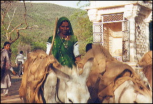 Subiendo a Palitana en el estado del Gujarat