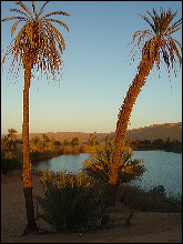 Oasis en Libia