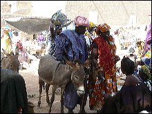 Imagen en Mali