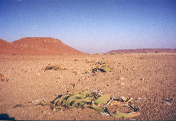 Paisaje del desierto
