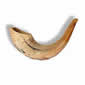 img. shofar petit