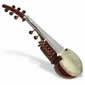 img. sarod petit