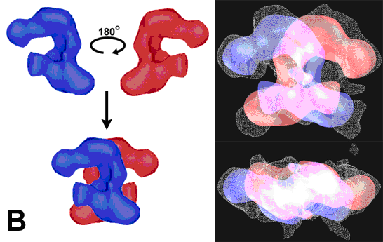 unió de molècules per poliaddició