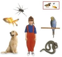Sorting Living Things