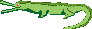 Alligator.gif