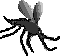 Mosquito.gif