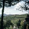 Vista de Borredà