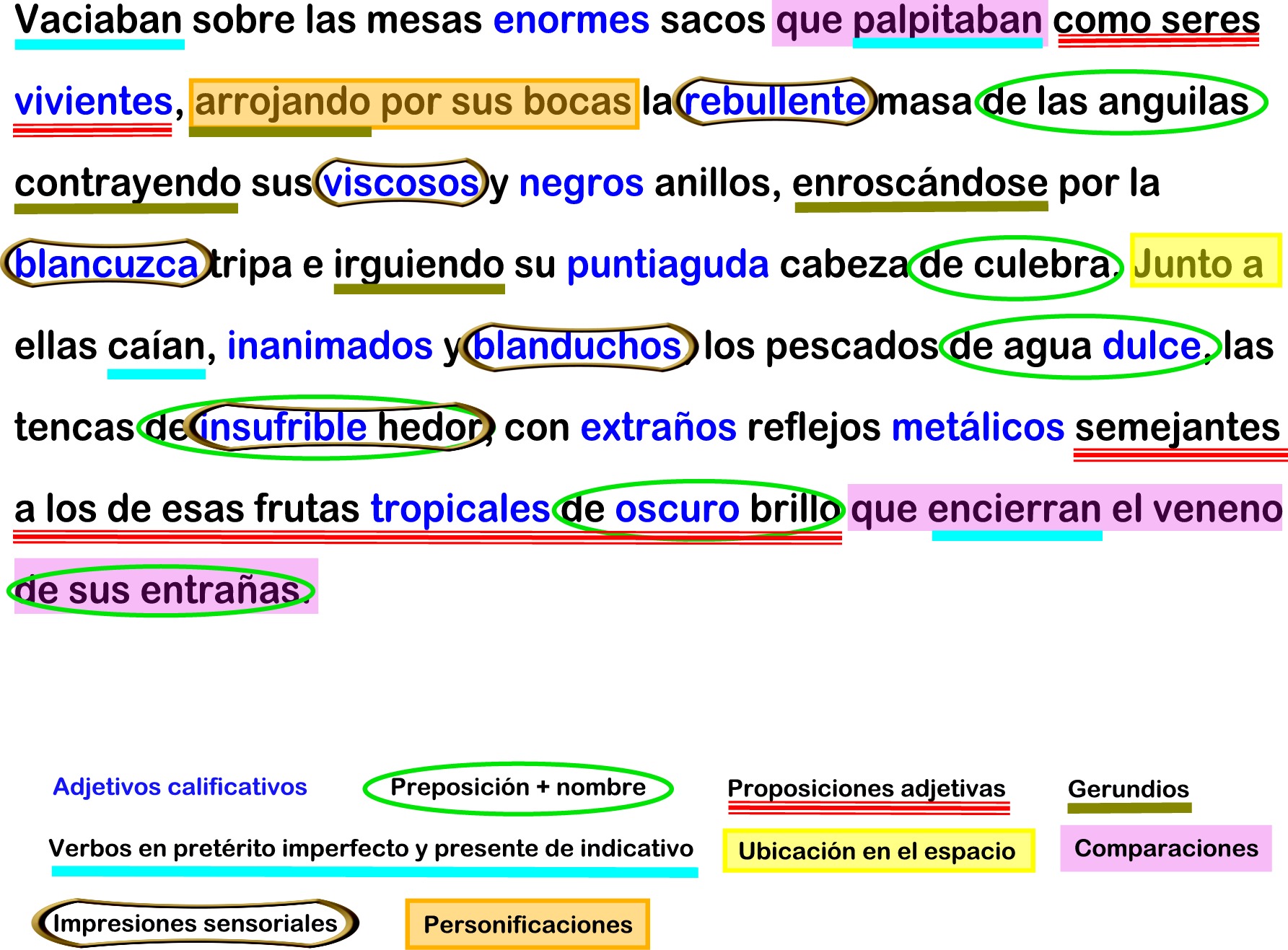 Ejemplo de recursos en un texto descriptivo