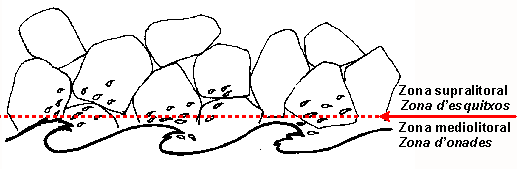 Esquema 1 espig&oacute;