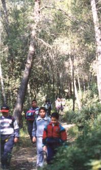 Caminant en plena natura