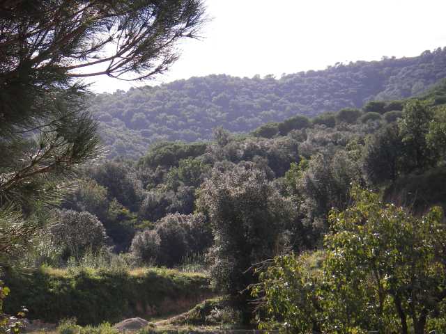 Vall de Clar�, Argentona