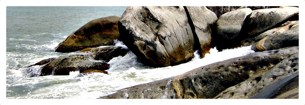 Fotografia capçalera