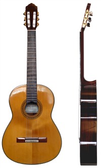 Guitarra