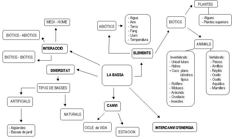 El punt de vista de l'expert