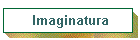 Imaginatura