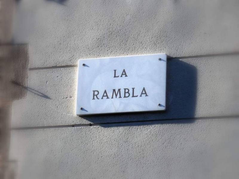 galeria (105).jpg