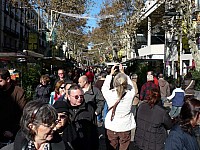 galeria (113).jpg