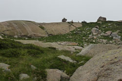 mamelló amb pedres arrastrades