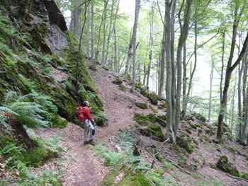 En Miquel baixant a Orlú