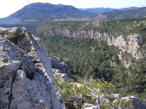 Cingles de les Arnes