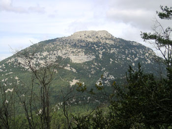 taula final del Bassegoda