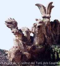Dracs de la central del Tur�