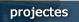 Projectes
