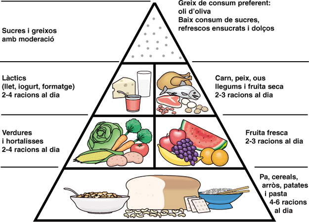 http://www.xtec.cat/ceip-mallorca/menjador/piramide%5B1%5D.jpg