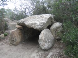 Cova del Moro