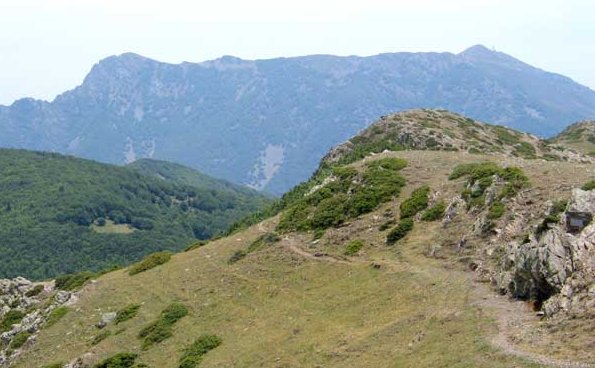 Les agudes i el Turó de l'Home