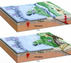 Les plaques tectòniques