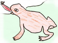 Granota