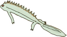 El tritó