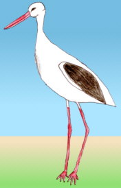 La cigonya