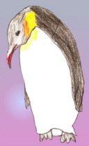 El pingüí