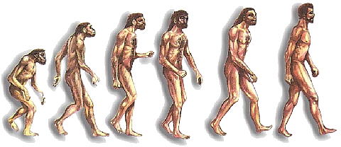 L'evolució humana