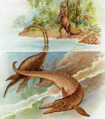 El Mesozoic