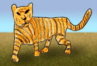 El tigre, un vertebrat mamífer