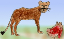 Mamífers carívors