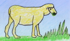 Mamífers herbívors