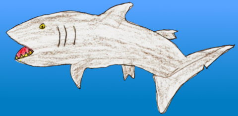 Tauró