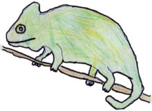Camaleó