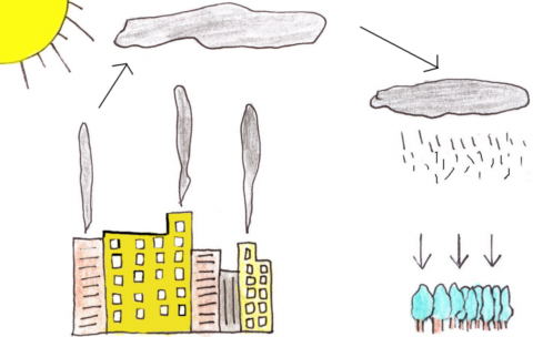 La contaminació de l'aire